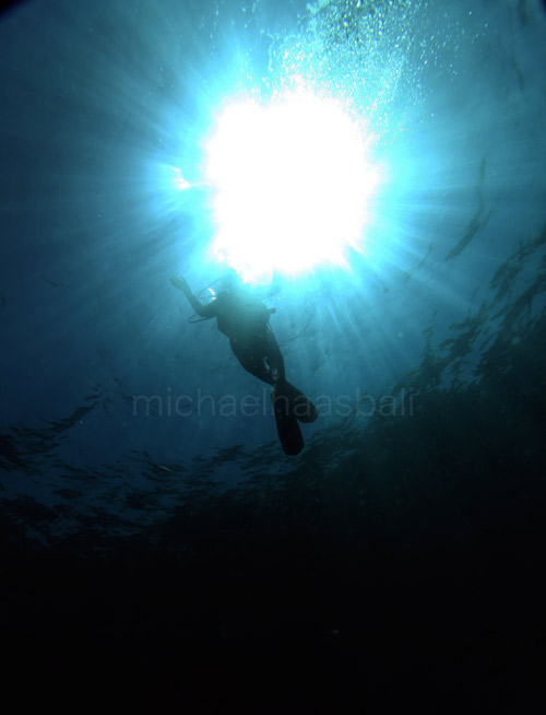 Blue Corner