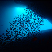 Gili Biaha grottes