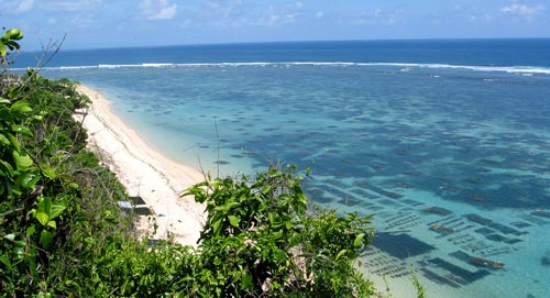 bali landscape